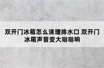 双开门冰箱怎么清理排水口 双开门冰箱声音变大嗡嗡响